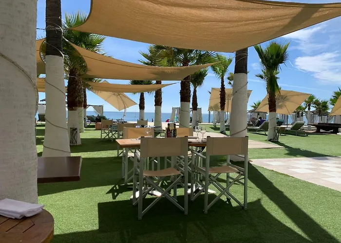 Daire Flamingos Tee 6 *